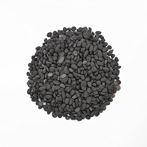 CNZ Polished Natural River Pebble Stone, 10 lb., Black - size: 0.5"-0.8", 10 LBS