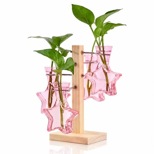 Plant Terrarium Propagation Stations: Pink Vase with Wooden Stand | Clear Glass, Star Shaped, Home Table Decor, Birthday Gifts for Plant Lovers Women Mom Wife - color: Pink