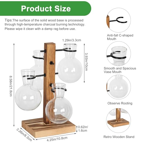 Plant Propagation Station with 4 Glass Vases & Wood Stand, Hydroponic Air Planter for Indoor Plants, Unique Gardening Gift for Women & Plant Lovers, Desktop Terrarium for Home Decor
