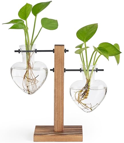 Mkono Propagation Stations,2 Heart Shaped Glass Plant Vases with Wood Stand - size: 2 Heart Bulb Vase
