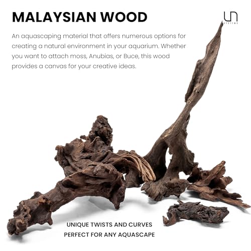Ultum Nature Systems Driftwood - Malaysian Drift Wood for Fish Tank, Planted Tank, Terriarium, Paludarium - Versatile Natural Driftwood Decor, Events Wood Centerpiece - Malaysian, Large (16-20") - size: 16-20"