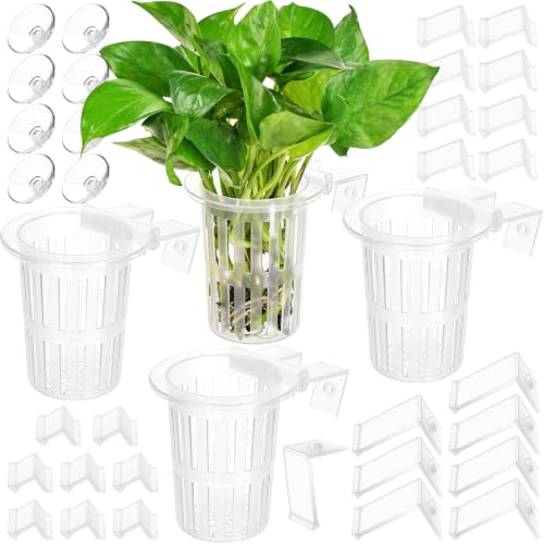 Borlech New Upgraded Large Aquarium Plant Holder with 1.57-inch Extension Hooks and Suction Cups for Fish Tank Aquaponic Plant Cultivation and Aquascape Accessories Decorations (4 Pack) Transparent - color: Transparent-4 Pack