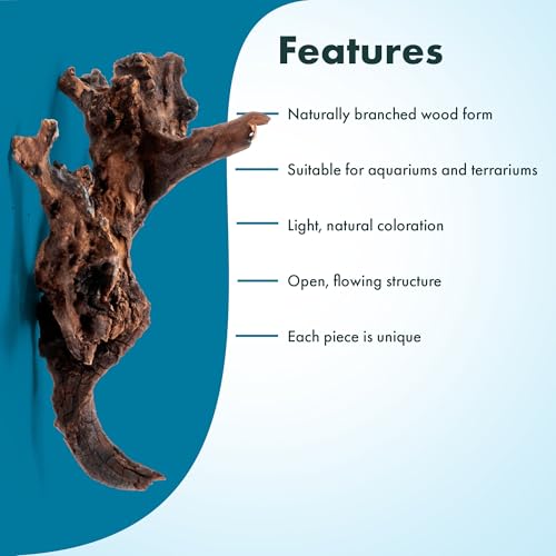 Natural Aquarium Driftwood for Fish Tanks, Terrarium, Reptile Habitats, Freshwater Aquatic Decor - Small to Large Pieces (Pacific Wood (Small) 4-8", 1 Piece) - size: 1 Piece
