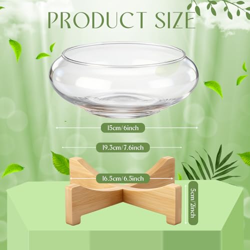 Baderke 2 Pcs Lotus Bowl Planter with Base 5.9 inch Glass Hydroponic Planter Water Lily Bowl for Planting Aquatic and Indoor Plants Clear Terrarium Household Basin Decor