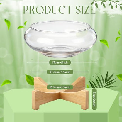 Baderke 2 Pcs Lotus Bowl Planter with Base 5.9 inch Glass Hydroponic Planter Water Lily Bowl for Planting Aquatic and Indoor Plants Clear Terrarium Household Basin Decor