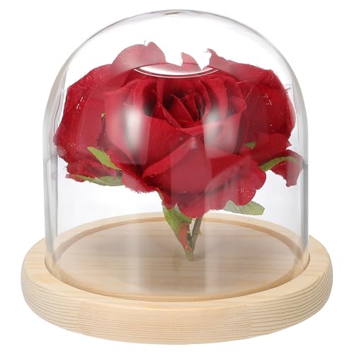 uxcell Glass Cloche Display Dome, 4.7" x 4.7" Glass Dome Display Case Wood Base Tabletop Jar Case Decorative Bell Jar for Plant Home Decor Office Wedding Party, Natural - size: 4.7" x 4.7"