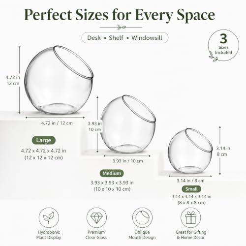 3 Pack Glass Terrarium Bowls for Air Plants, Clear Hydroponic Plant Propagation Vases with Wide Opening, Mini Indoor Garden Containers for Succulents, Pothos and Desk Decor