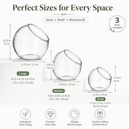 3 Pack Glass Terrarium Bowls for Air Plants, Clear Hydroponic Plant Propagation Vases with Wide Opening, Mini Indoor Garden Containers for Succulents, Pothos and Desk Decor