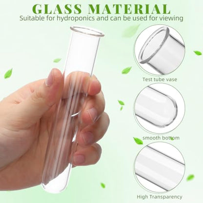 Kisangel 4pcs Plant Glass Test Tube, Clear Plant Propagation Tubes Hydroponic Glass Flower Vases for Home Garden Arrangement Water