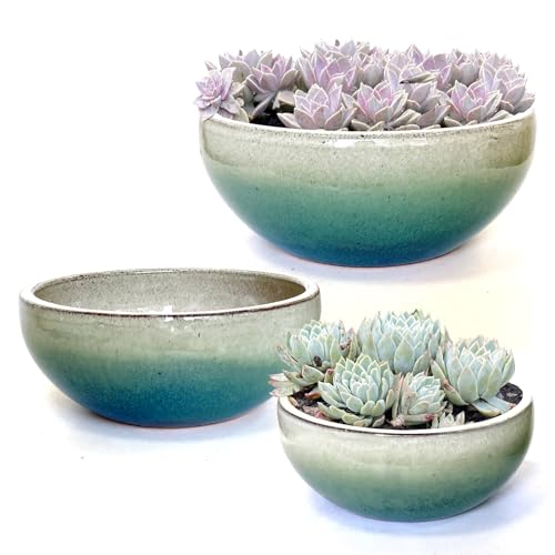 11 9 7 Inch Succulent Pot with Drainage and Mesh Pads Large Round Ceramic Plant Pot for Indoor Outdoor Plants Succulent Planter Cactus Bonsai Pot Container Set of 3 (White Green) - color: White and Green Set of 3, size: 7, 9 & 11 Inch