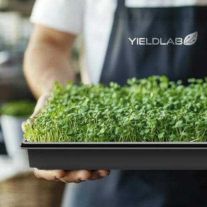 10x20 Inch Black Plastic 50 Pack Plant Propagation Tray No Holes - color: Black, size: 50-Pack