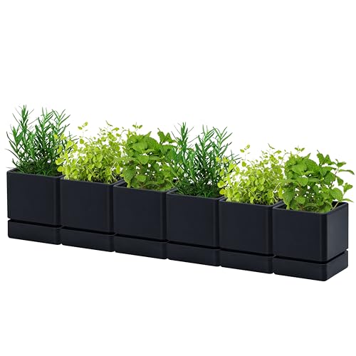D'vine Dev 6-Pack Plastic Herb Planter Pots, 4 in, Black, 76-Y-B6-1 - color: Black, size: 24 Inch x 4.5 Inch