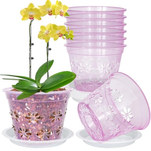 Orchid Pot, 5''(top diameter) x 3.6''H 8 pack Orchid Pots with Holes & Saucers, Clear Plastic Pot For Repotting, Breathable Ventilation Planters for Phalaenopsis, Dendrobium & Oncidium Orchids(red) - color: Red, size: 5'' x 3.6'' (8 pack)
