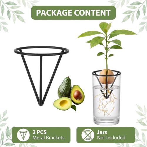 2 Pcs Avocado Seed Germination Stand, Plant Rooting Vase Support, Multipurpose Propagation Kit for Vegetables and Fruits, Sturdy Metal Frame for Indoor Gardening (Jars Not Included)