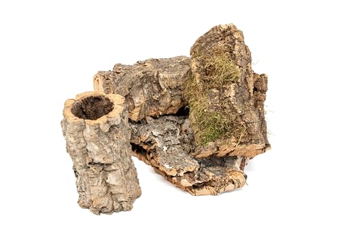 Assorted Virgin Cork Bark for Orchids, Reptiles & Terrariums – Natural Orchid Mounts, Vivarium Décor, Tarantula & Gecko Hides (8ounce)