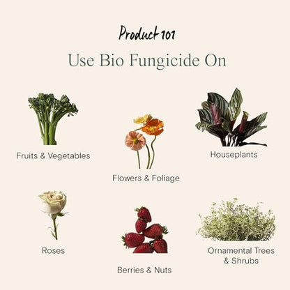 32 oz Spray Bottle for Plants - Misting Refillable Trigger Sprayer