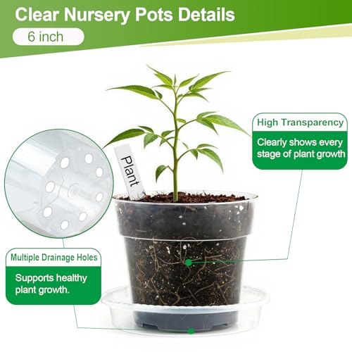 6/8/10 Inch Clear Nursery Pots with Saucers and 15 Pack Plant Labels,Transparent Plastic Plant Pots with Drainage Holes,Sturdy Seed Starter Pots for Succulents,Herbs,Flowers,Indoor Outdoor Plants - size: 6+8+10 Inch