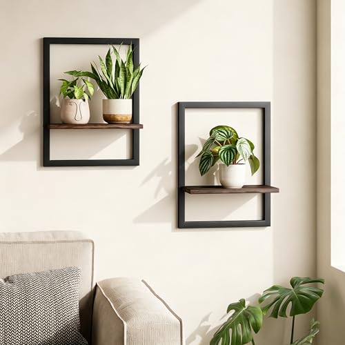 Bamworld Wall Plant Holder Hanging Planters for Indoor Plants Frames Decor
