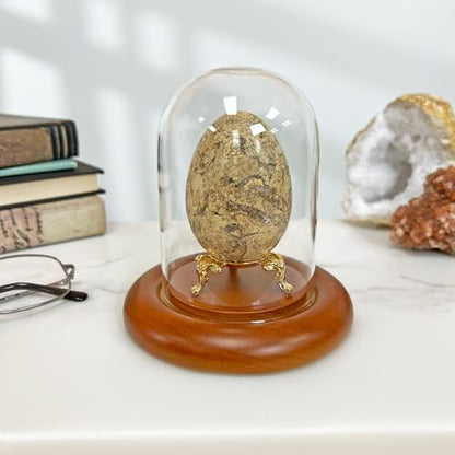 Plymor 3" x 4" Glass Display Dome Cloche (Oak Wood Base) - color: Oak Base