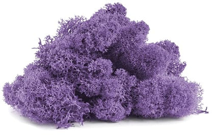 SuperMoss (25158) Reindeer Moss Preserved, Lavender, 8oz Bag