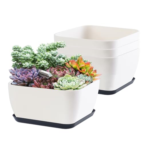Oliz Succulent Pots 6 Inch Shallow Herb Planters with Drainage Hole - 4 Packs Cactus Planter for Home Office Garden Plants Pot Present - Plants Not Included (Off White) - size: Square 4 Pcs