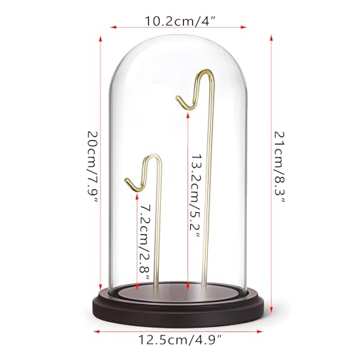 JUXYES Clear Glass Pocket Watch Display Dome Case with Base, 4x8 Inches | Clear Glass, Dust Proof, Bell Terrarium Jar with 2 Golden Hanging Hook, For Pocket Watch Collectors and Antique Enthusiasts - color: Gold/Dark Red