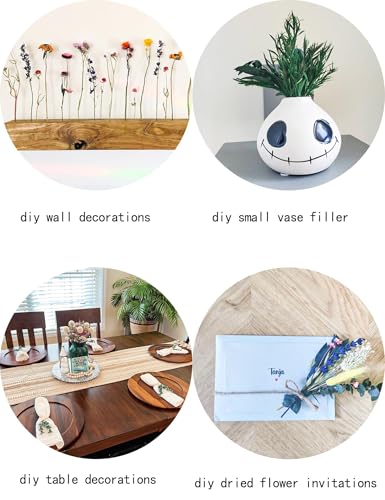 xin's convey DIY Natural Dried Flower Set, Bulk Dried Flowers for Vase, Dried Flowers with Stems, Dried Roses, Mini Dried Flower Bouquets.(Brown) - color: Brown