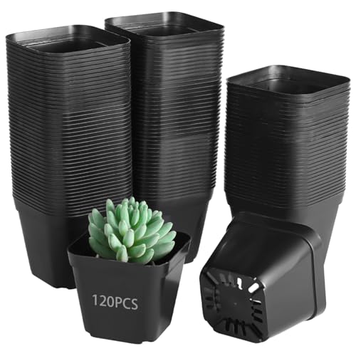 OMISTAR 120 Pcs Small Square Plastic Nursery Pots - 4 Inch Seedling Plant Pots with Drainage Holes, Reusable Grow Containers for Succulent Propagation, Flowers, Bulk Seed Starting Kits