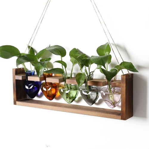 Plant Terrarium Hanging Propagation Stations Gift for Women - color: Color