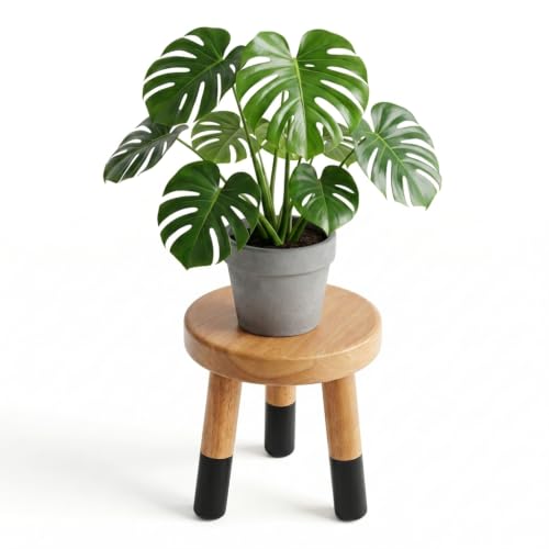 9" Rubber Wood Plant Stand for Indoor Plants, Modern Rustic - color: 10" Tall Black