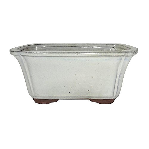 Brussel's Bonsai - Small Ceramic Bonsai Plant Pot, Rectangle Glazed Planter | Ceramic Bonsai Plant Pot, 6", Rectangle Design, Glazed Finish, Drainage Hole, Indoor & Outdoor Use - color: New Cream, size: 6"