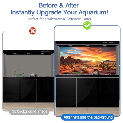 Reptile Background Film, Static Cling, Glue-Free, Desert, 19.6"H×59"W | No Glue Static Cling • Spray Water to Apply • Realistic Desert Scene • Natural Terrarium Look • Reusable • Easy Trim - size: 19.6 X 59 Inches