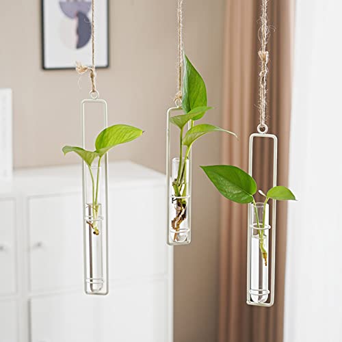 3 Pieces Hanging Plant Glass Test Tubes Hydroponic Vase Planters Wall-Mounted Terrarium Container for Indoor Outdoor Home Decoration (White) - color: White