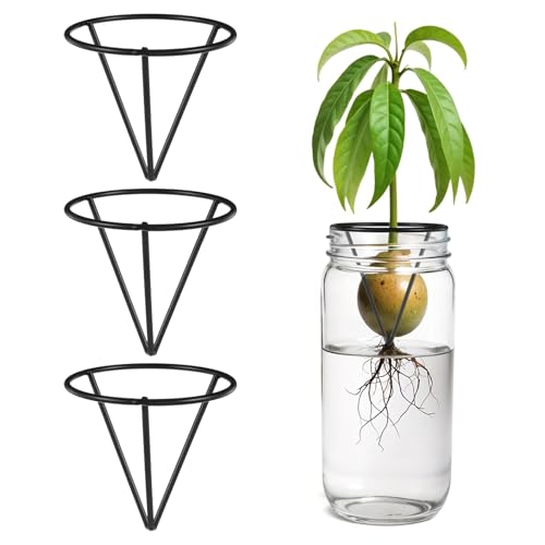 Tyqour 3 Pcs Avocado Tree Growing Kits - Avocado Seed Starter Vase Rack, Seed Holder for Mason Jar of Wide-Mouth, Triangular Metal Bracket for Home Office, Gardening Lovers Gift (Black,Without Jar)