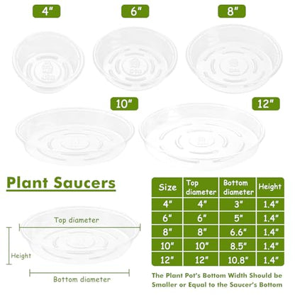 Plant Saucer 30 Pack Plant Trays for Pots 4/6/8/10/12 Inch Plastic Plant Saucers for Outdoors & Indoors Clear Drip Trays for Potted Plants Flower Pot Plates to Catch Water Drainage Dishes No Holes - size: 4/6/8/10/12 Inch - 30 Pack
