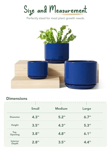 LE TAUCI Ceramic Plant Pots, 4.3+5.3+6.8 inch, Set of 3, Planters with Drainage Hole and Saucer, Indoor Flower Pot with Hole Mesh Pad, Gifts for Mom, Sapphire Blue - color: Sapphire Blue