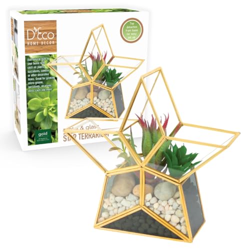 D'Eco Glass Gold Star Plant Terrarium, Centerpiece & Wedding Letterbox