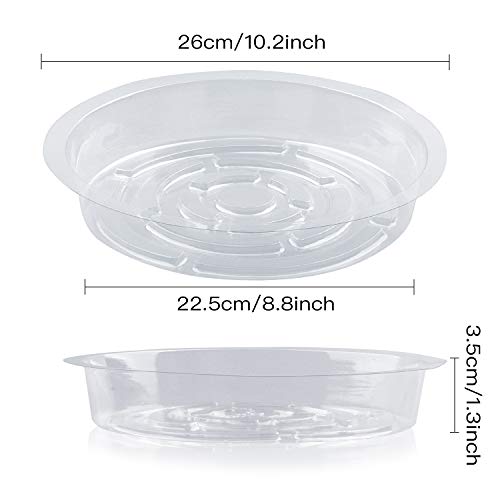Rocutus Plant Saucer,20 Pack Plastic Plant Saucer Drip Trays Small Plant Plate Dish,Heavy Duty Clear Plastic Plant Saucers Flower Pot Tray Flower Pot Drip Pan for Indoor and Outdoor Plants (10 Inch) - size: 10 Inch
