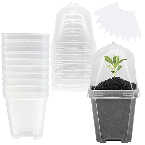 10 Pcs 3" Clear Plant Nursery Pot with Humidity Dome, Plastic Gardening Pot | Plastic Plant Container with Labels, Plastic Gardening Containers Cups for Seedlings Vegetables Succulents Cuttings - color: 10pcs-white, size: 3 Inch