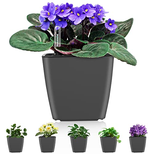 Self Watering Planters for Indoor Plants : 5 inch 6 Pack Grey Planter with Water Level Indicator African Violet Self Watering Flower Pot for Herb Pot House Plant Planting - color: Grey 5 Inch Self Watering Planter Pack of 6