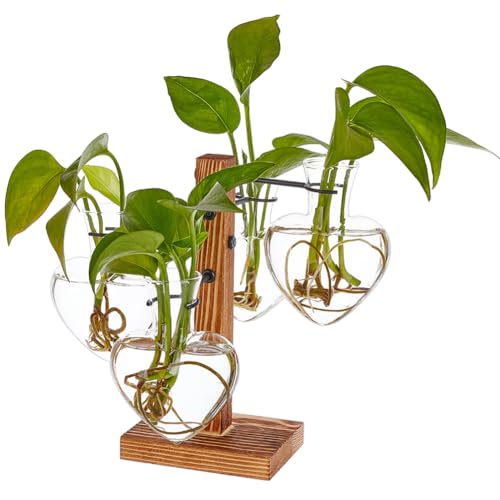Plant Terrarium with Wooden Stand Air Planter Glass Vase Propagation Station Metal Swivel Holder Plants Hydroponic Planter Home Office Desk Decor Plant Lover Gifts - 4 Love Bulb Vase