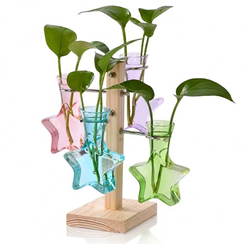 Plant Terrarium Propagation Stations: Colored Vase with Wooden Stand | Clear Glass, Star Shaped, Home Table Decor, Birthday Gifts for Plant Lovers Women Mom Wife - color: Colored