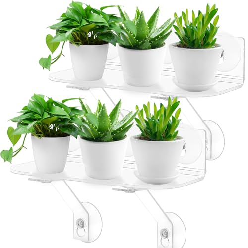 12 Inch 2 Pack Plant Window Boxes Shelf Sill Suction Cup Planter, 5-Inch Extra Wide Window Sill Extender with Load Bearing Bracket for Herbs, Succulents, Clear Acrylic Indoor Plant Stand, Planter Holder1