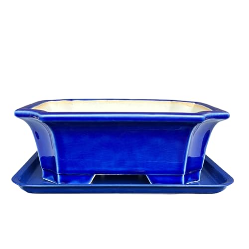 MUZHI 2pcs Green Ceramic Bonsai Planter Pots with Bamboo Tray 6.2 “ & 5.3”, Rectangular Glazed Bonsai & Succulent Cactus Starter Pot with Drainage Ice Crack Design (Crackle Glazed 10") - size: Crackle Glazed 10"