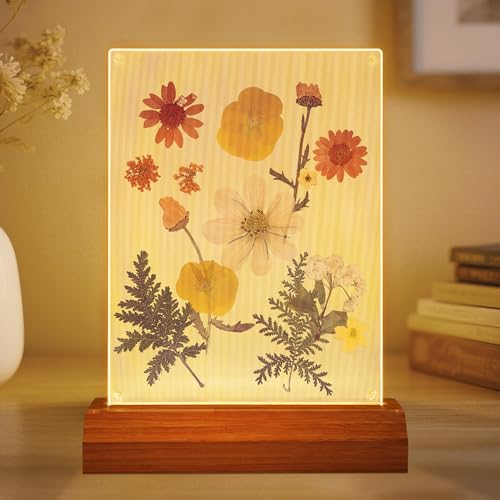 Pressed Flower Frame Lamp, LED DIY Frame Night Light for Pressed Flowers, Mother Day Birthday Gifts for Mom Love Girlfriend, Home Bedroom Table Decor Xmas Holiday Valentine's Day Idea - color: Yellow Flower Frame Lamp 01