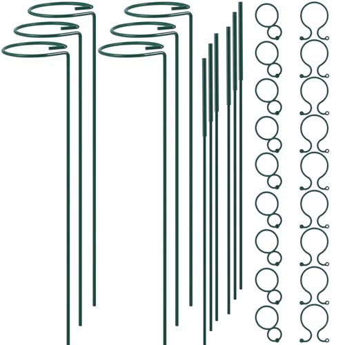 Plant Stake Support, Adjustable Height 12" or 24" for Garden Support Stake | 6 Pack Plant Cage Support Rings, Single Stem Plant Support Stakes, for Flowers Amaryllis Tomatoes Peony Lily Rose(24inch) - size: 24inch