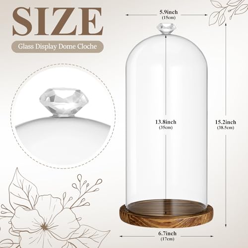 Suclain 2 Pcs Tall Glass Cloche Display Dome with Base,Brown,Diamond - color: Brown, size: Diamond