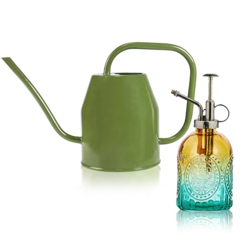 35 oz/1000 ml Metal Indoor Small Watering Can with Long Spout for House Plants Decorative, 12 oz/360 ml Glass Plant Mister Spray Bottle for Bonsai Garden Flowers(Green) - color: Green