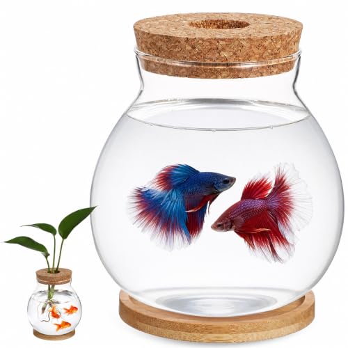Balacoo Desktop Hydroponic Fish Bowl - Clear Glass Small Fish Tank | Betta Fish Plants Terrarium with Bamboo Cushion & Wood Lid - for Hydroponic Plants, Home and Office Desktop Decoration