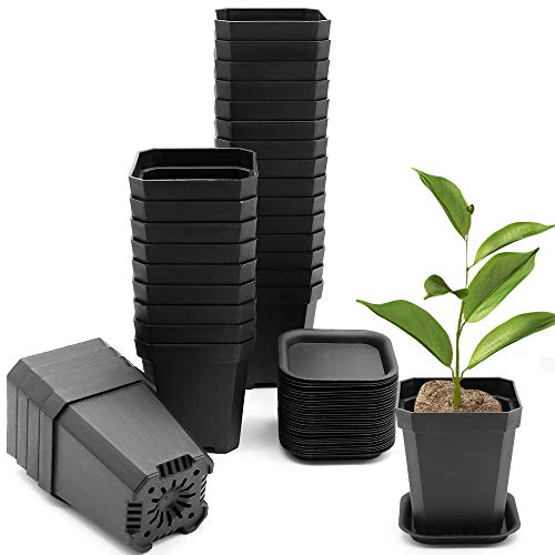 30Pcs 3" Nursery Pot with 30 Saucers Black, Square Plastic Plants Pots | 3 inch Thick Flower Planting Pots, Plant Seedling Pots, Seed Starting Pots Outdoor Garden - color: Black